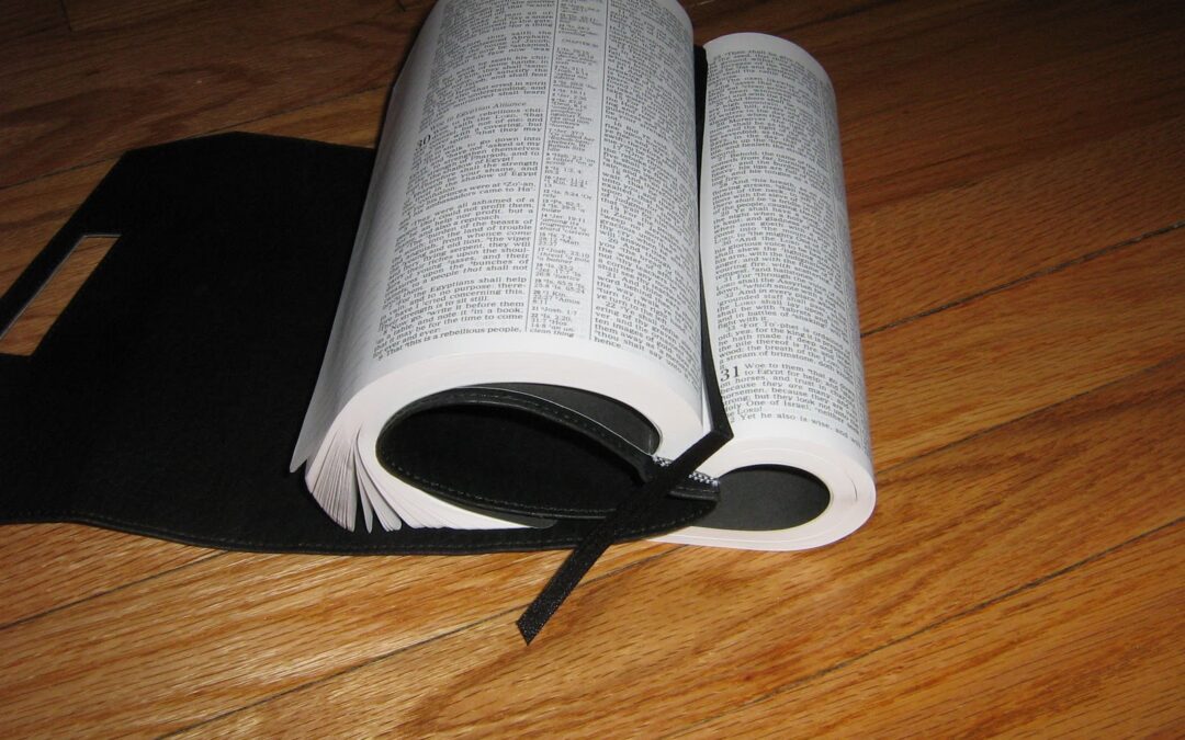 Are You Reading Your Bible? More Bible Reading Plans